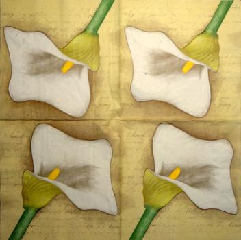 035 Calla - 3-ply